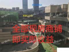 市中区 领秀城对面绿地新都会单一层小户型餐饮商铺