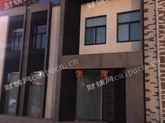 奥体中路与康虹路路口商铺出售