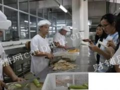 大学食堂一楼档口招租，早餐做：油条，豆浆，豆腐脑等中晚做炒菜