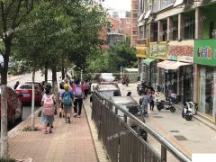 (个人出租网站勿扰)旅游路辅仁学校对面一层商铺可分租
